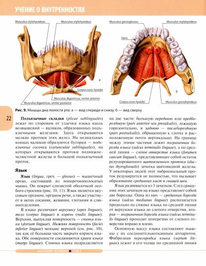 Анатомия человека.Т.2-Спланхнология и сердечно-сосудистая система.Учебник в 3 томах