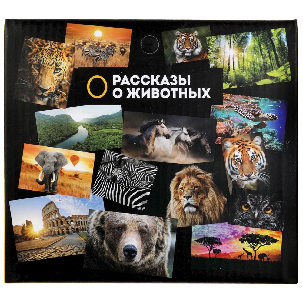 Jeu de vélo en plastique pour dinosaure, 15,3x6,3x4,5 cm, ind. affichage ТМ "ИГРАЕМ ВМЕСТЕ" dans le format 2*90шт