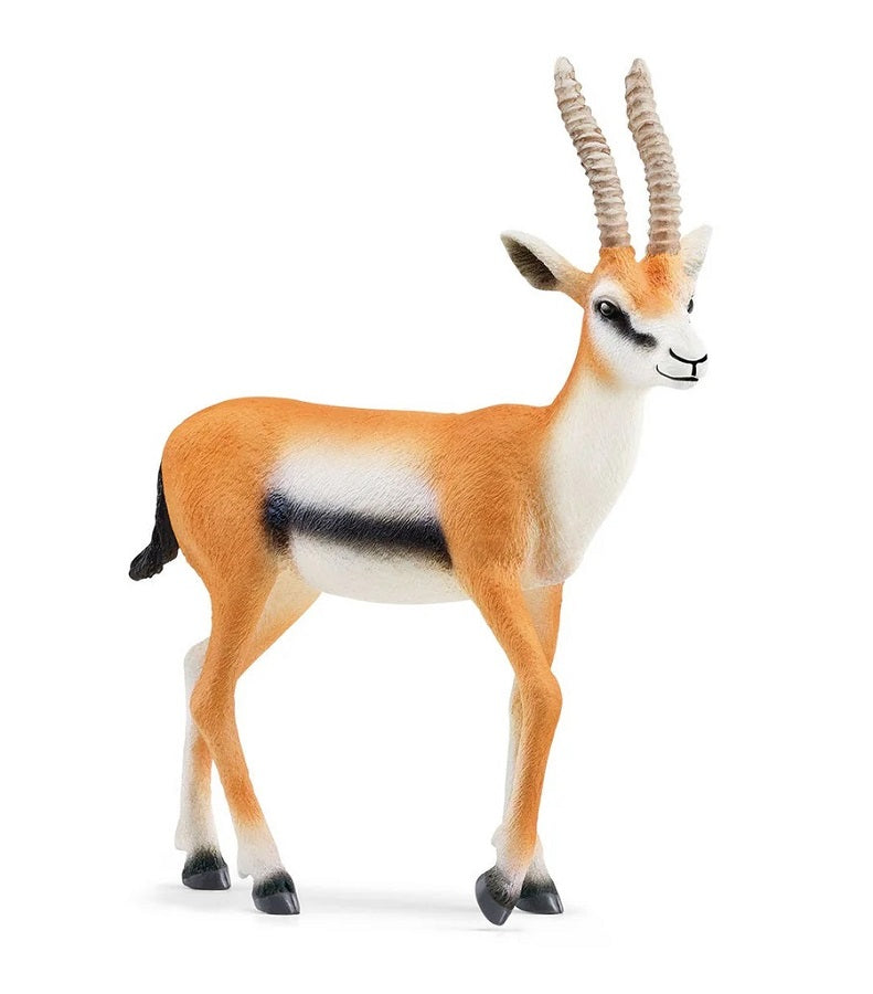Schleich. Figurine art.14861 "Газель Томсона"