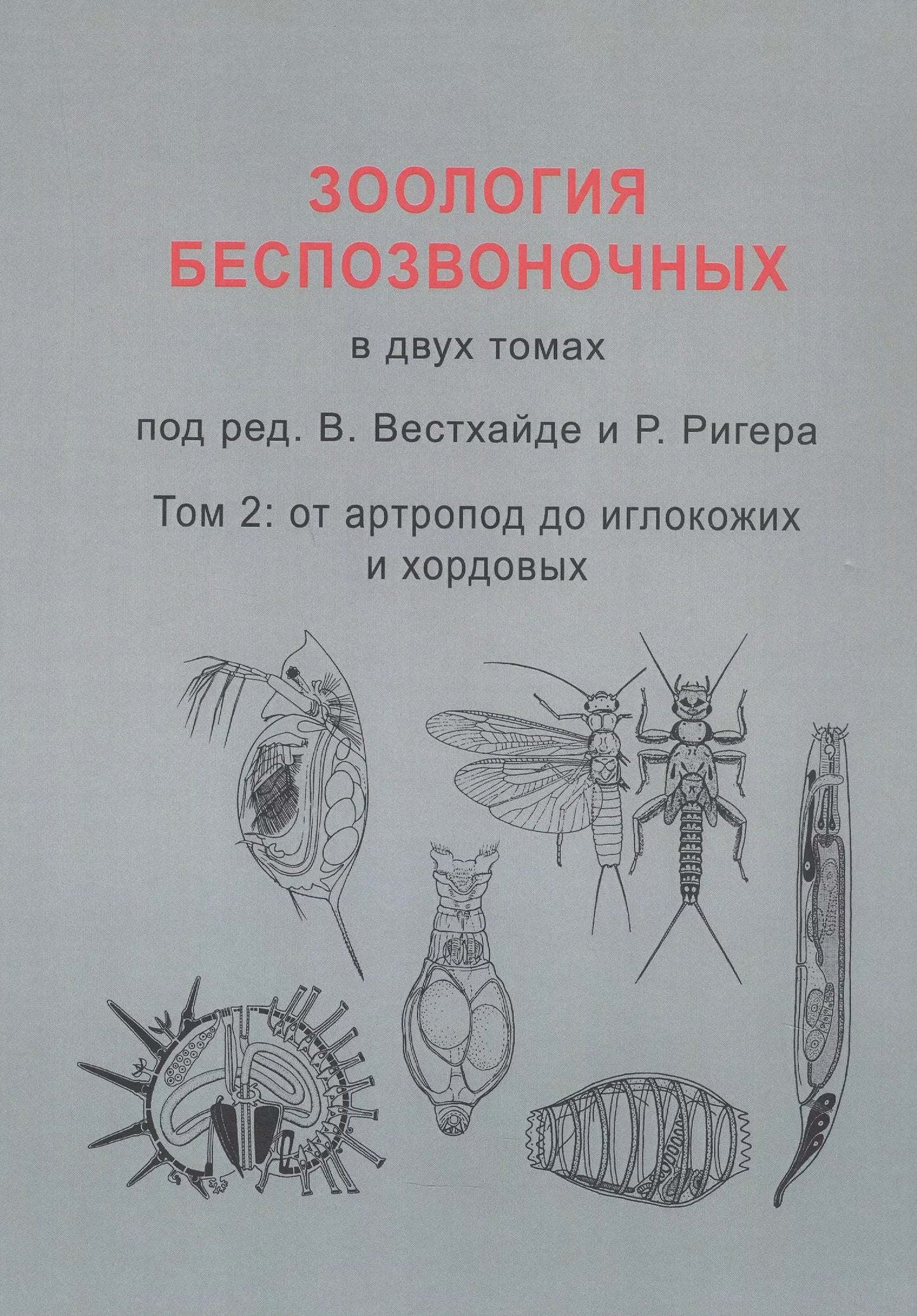 Зоология беспозвоночных. Том 2: от артропод до иглокожих и хордовых