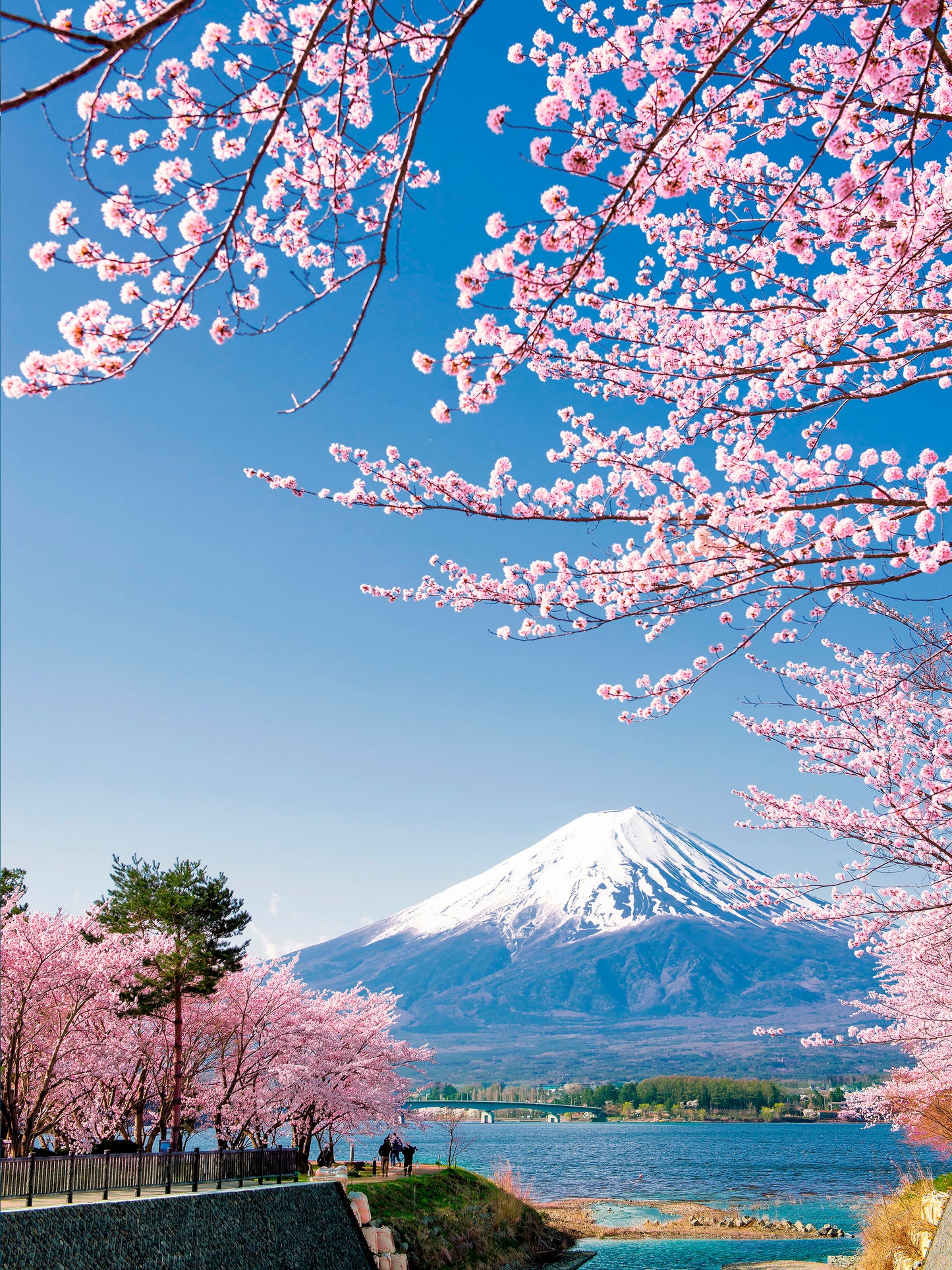 1000 millions de planètes, ce qui doit être fait pour votre vie. 4-е изд. испр. je suis d'accord. (стерео-варио сакура)