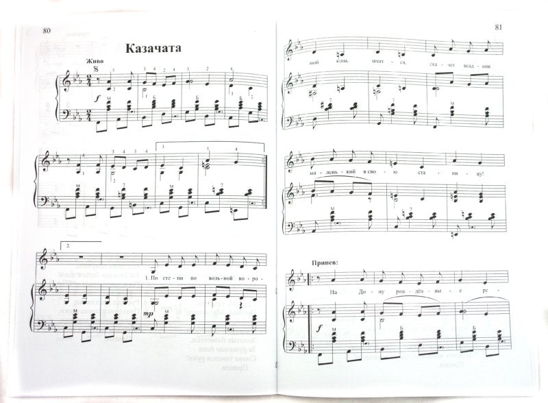 Мы-музыканты,яркие таланты:сб.пьес и песен для бая