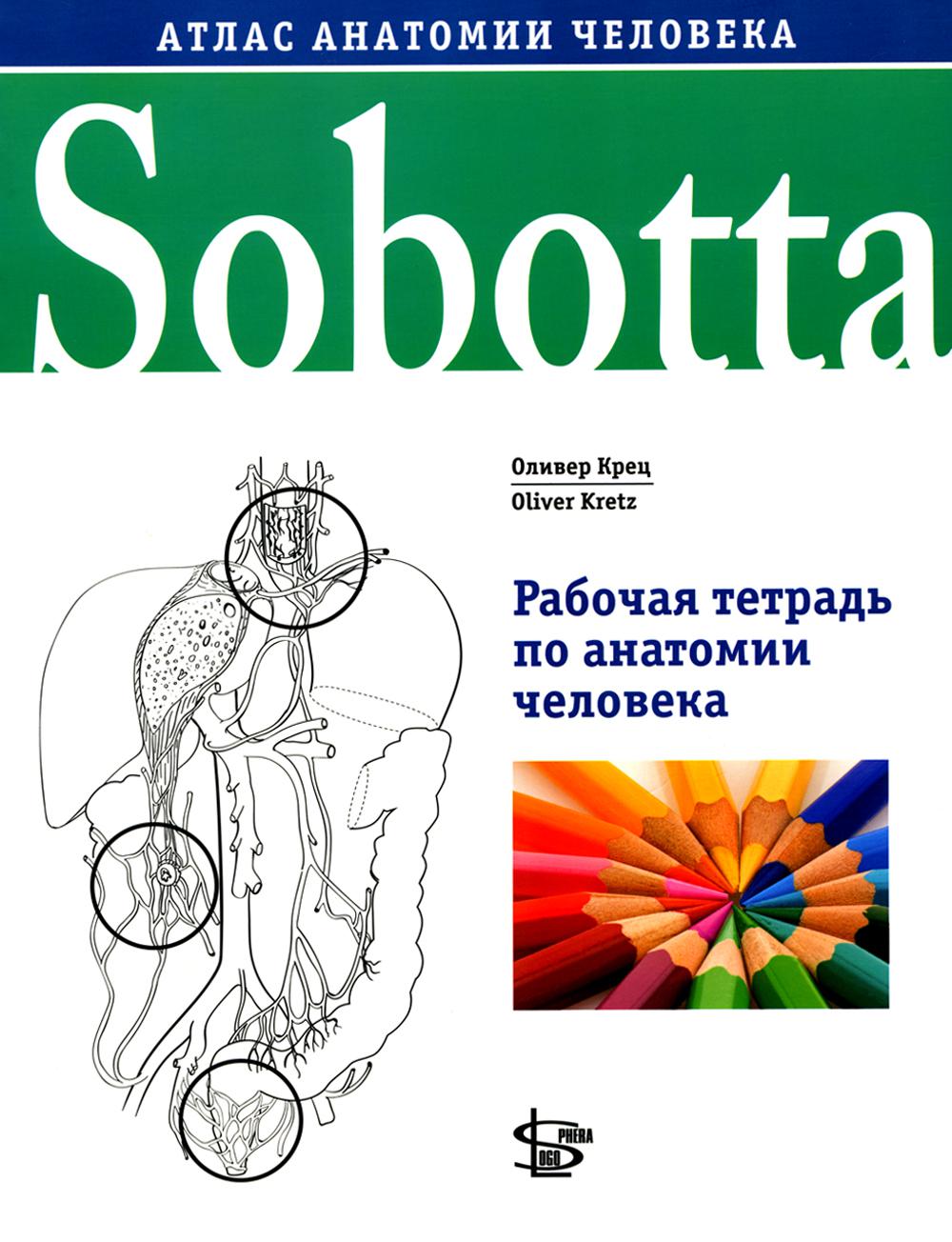 Sobotta. Рабочая тетрадь по анатомии человека