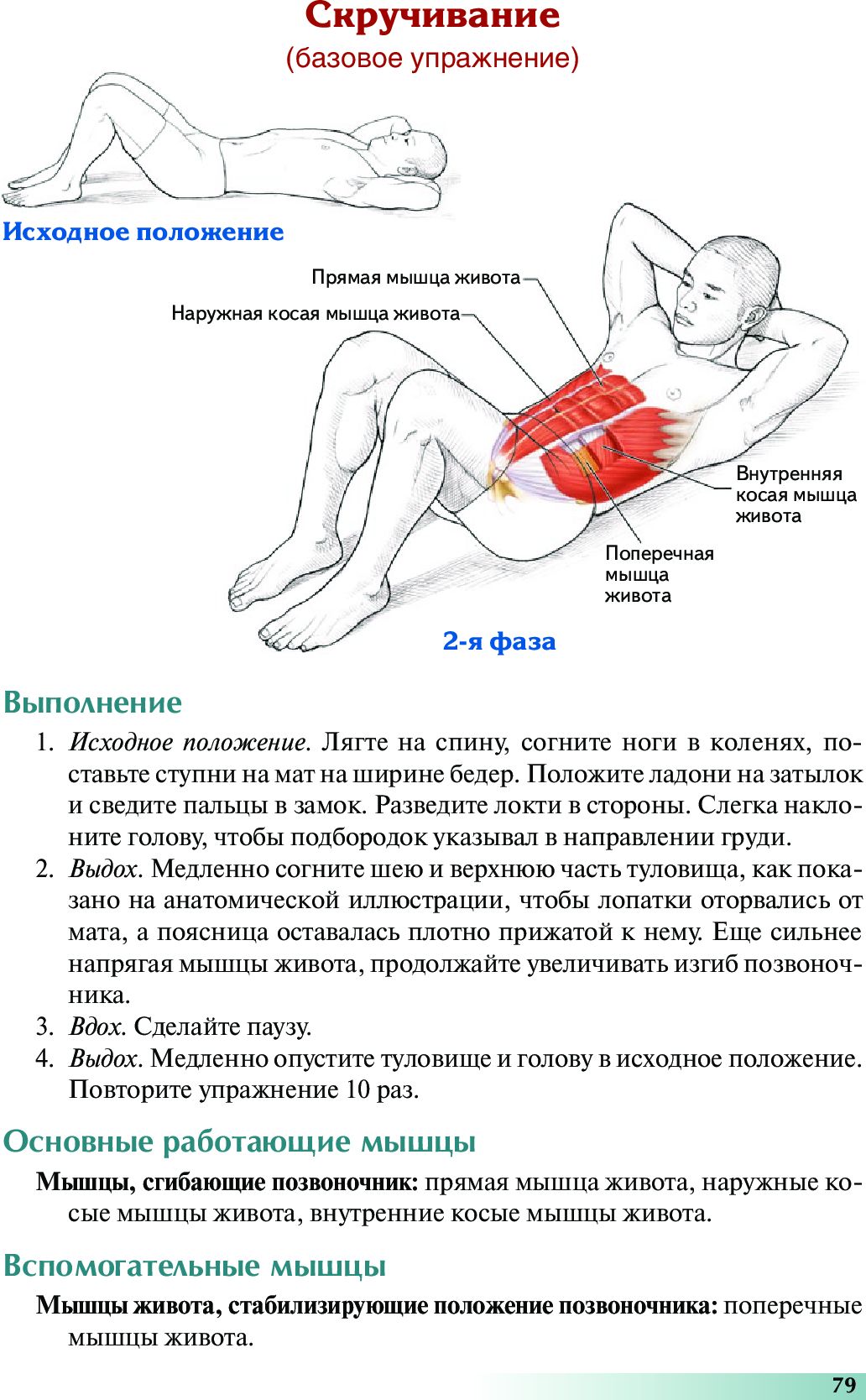 Анатомия пилатеса