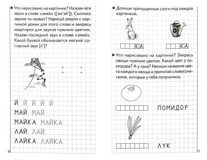 Тетрадь Развиваем навыки чтения и грамотного письма 2ч. 5-6 mois