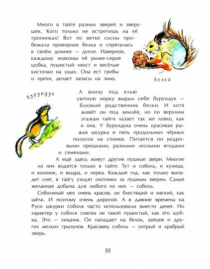 Taïga. Удивительный лес. 2-e изд. Oui. 5