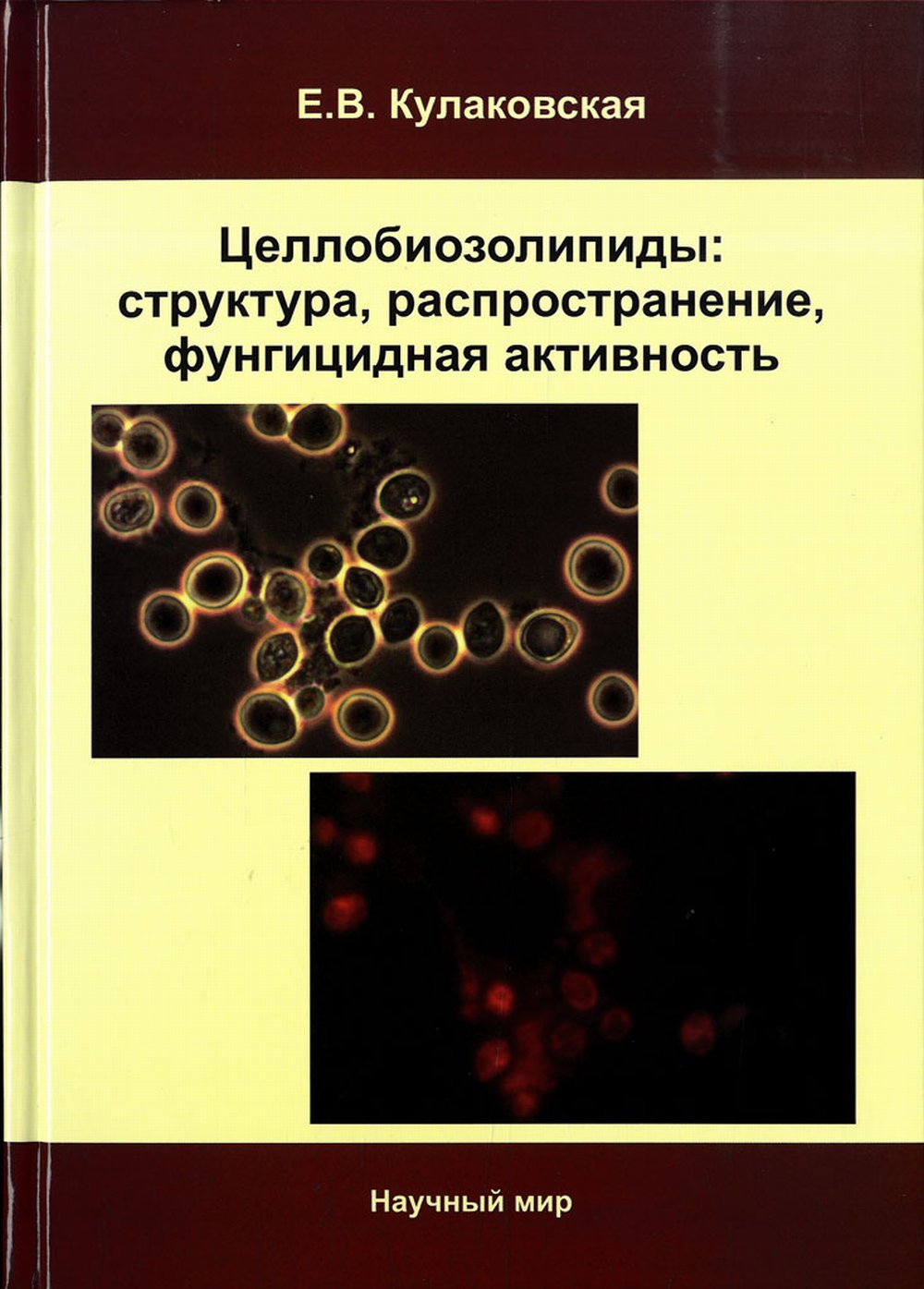 Целлобиозолипиды: structure, répartition, activité fongique