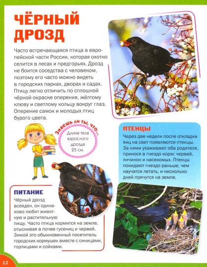 Лесные животные. Энциклопедия для детей