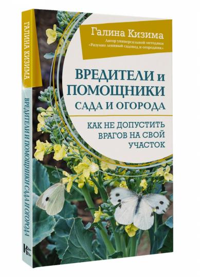Les prêteurs et les agences de voyages sont également présents. Comment ne pas ajouter des choses à votre maison
