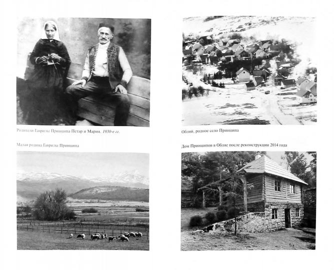 Гаврило Принцин: человек-détonateur