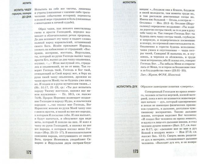 Николаюк Н. Библейское слово в нашей речи. Словарь-справочник.