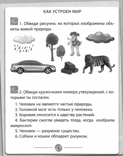 Окружающий мир: 3 класс