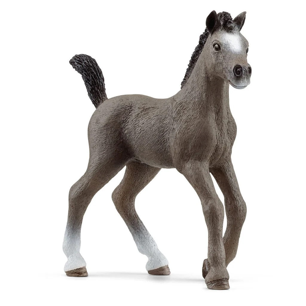 Schleich. Фигурка "Французский верховой жеребенок" арт.13957