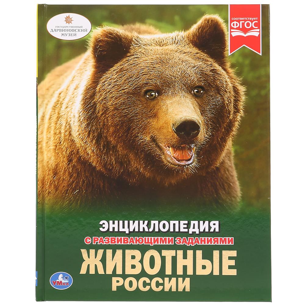 Животные России. (Энциклопедия А4 с развивающими заданиями). 197х255мм. 48 стр. Умка в кор.15шт