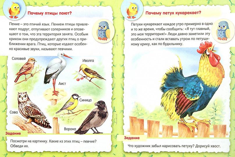 Книжка 8л А5ф цветной bloc на скобе Маленькому почемучке-О птицах-