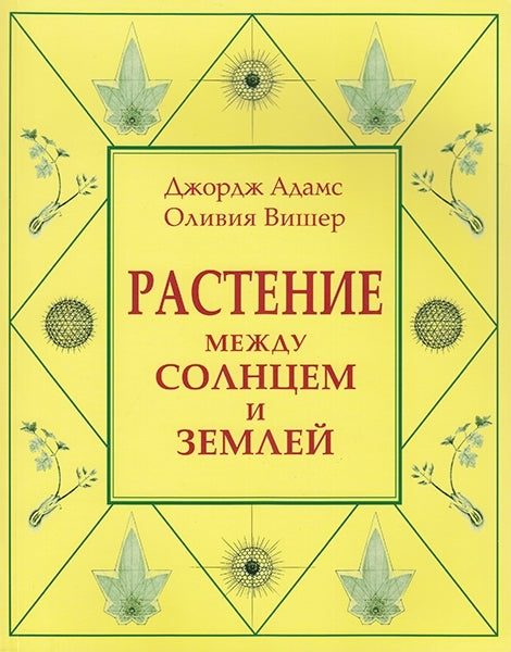 Растение между солнцем и землей: учение о физическом и эфирном пространстве