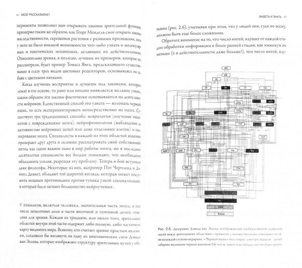Мозг рассказывает (мяг). Что делает нас людьми