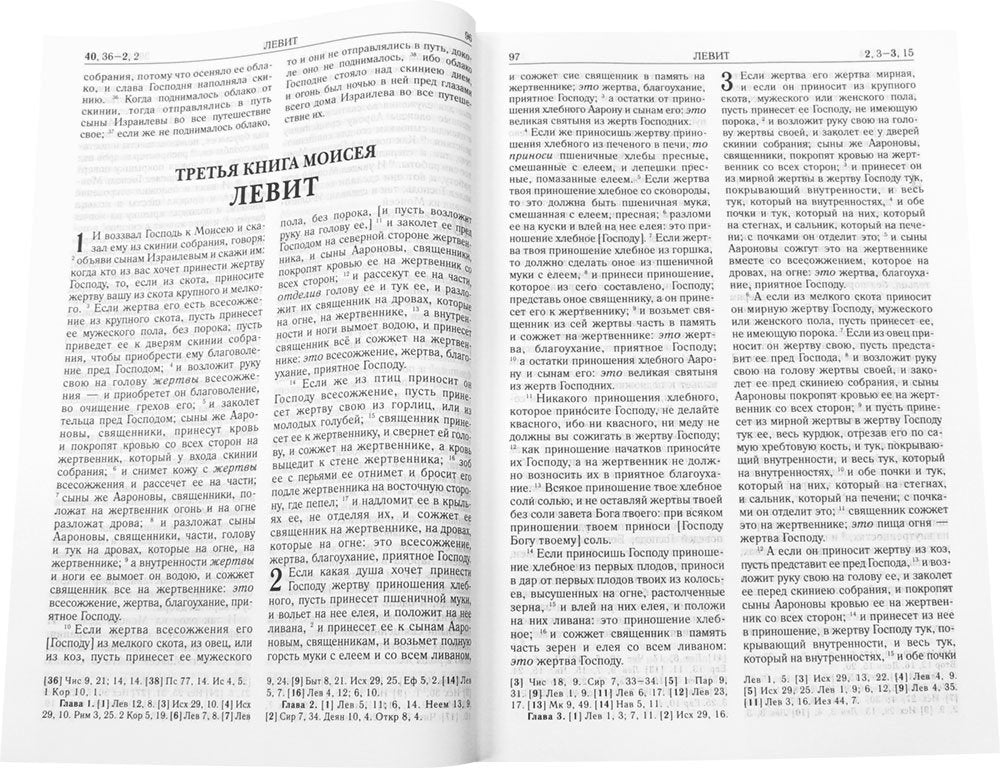 Bible. Книги Священного Писания Ветхого и Нового Завета (золотой обрез)