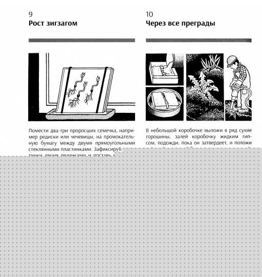 Занимательная наука. Plus de 400 exemples et informations pour le moment /