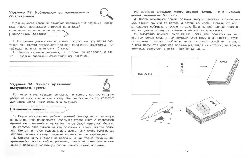 Окружающий мир. Повторяем изученное в 3 классе. 3-4 класс