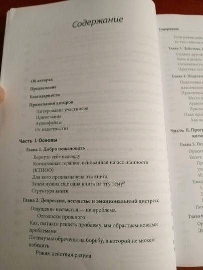 Vous êtes en dépression. Рабочая тетрадь. Programme pour 8 minutes