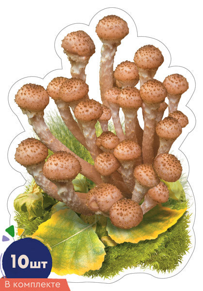 *КМ-17019 Набор украшений на скотче. Грибы Опята. Двухсторонние (10 шт. в наборе)