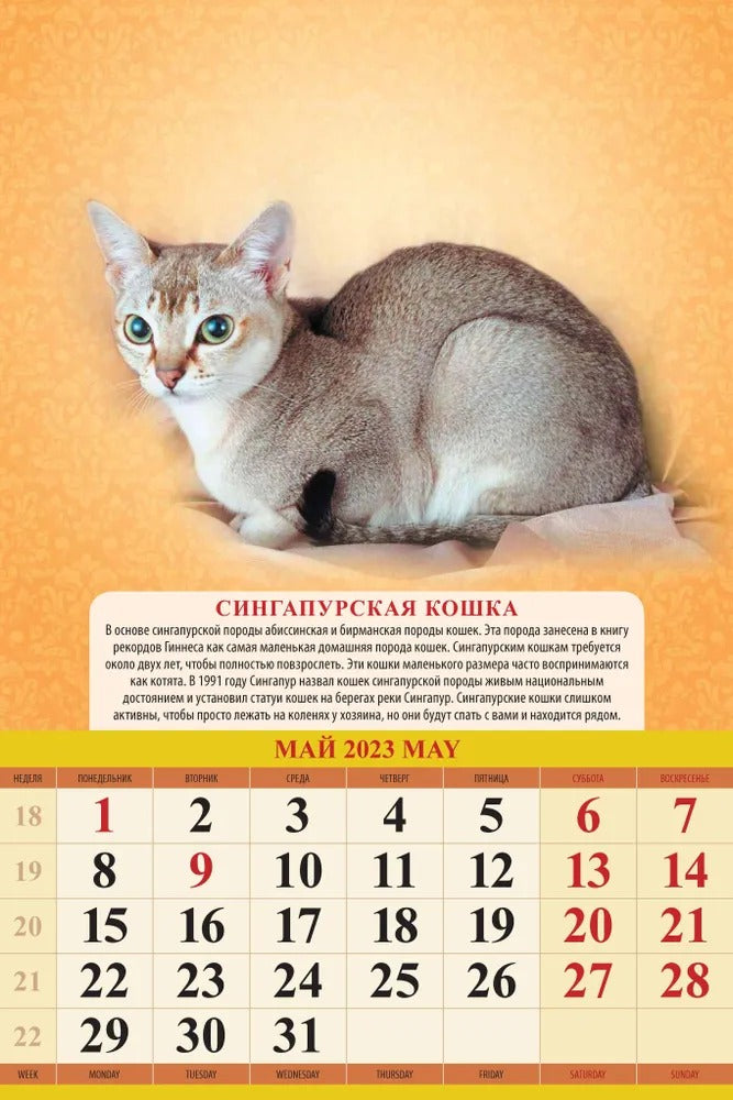 Calendrier "Породы кошек" pour 2024. Panneau avec cadre (320*480 mm) 6 listes