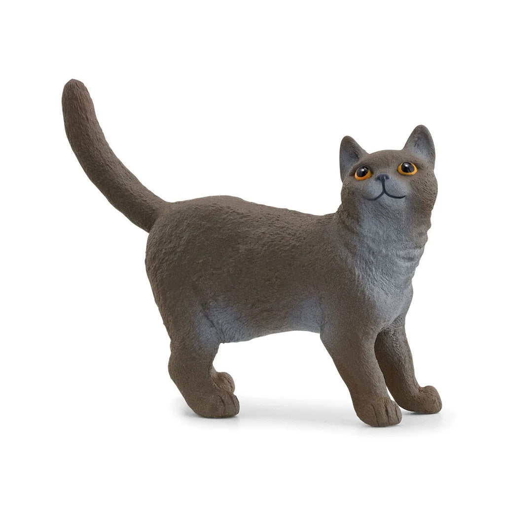Schleich. Фигурка "Британская короткошерстная кошка" арт.13973