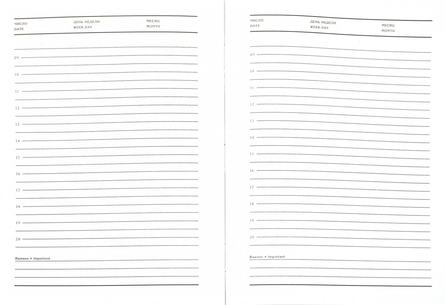 Ежедневник 80л А5 18217 Papirus