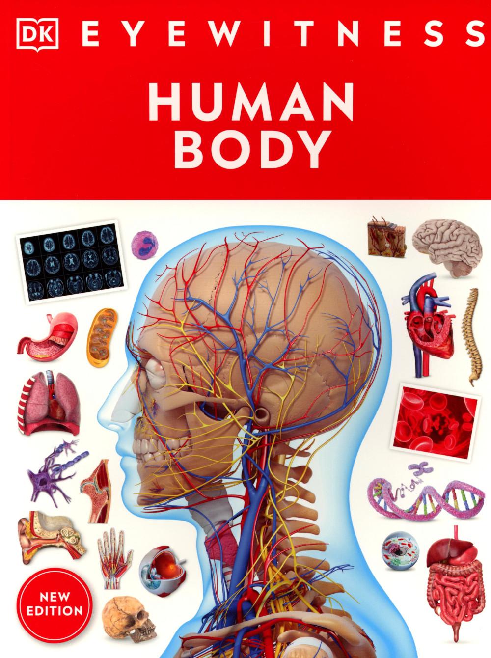 Eyewitness - Human Body