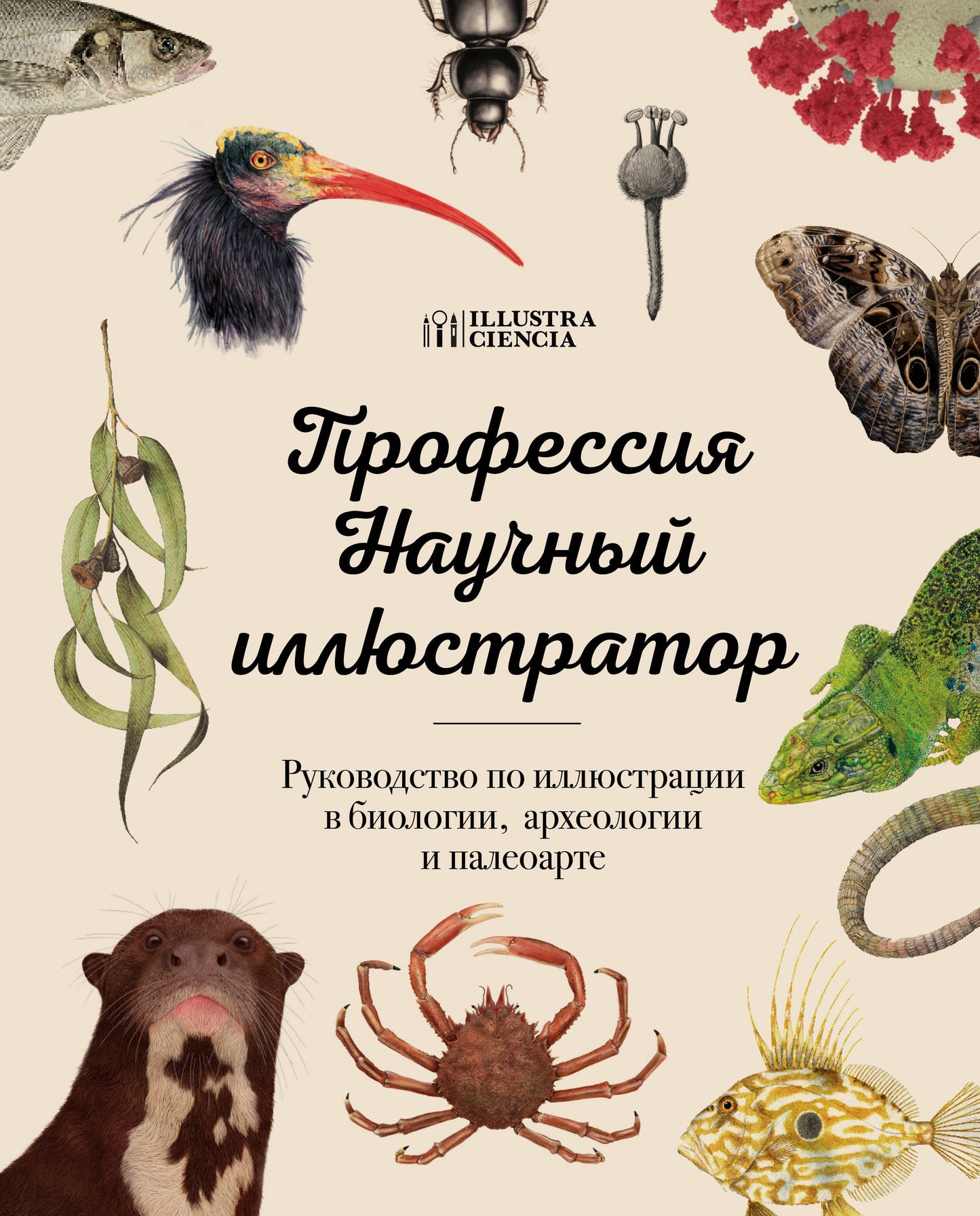 Profession — Illustrateur nautique. Recherche sur l'illustration de la biologie, de l'archéologie et du paléoart