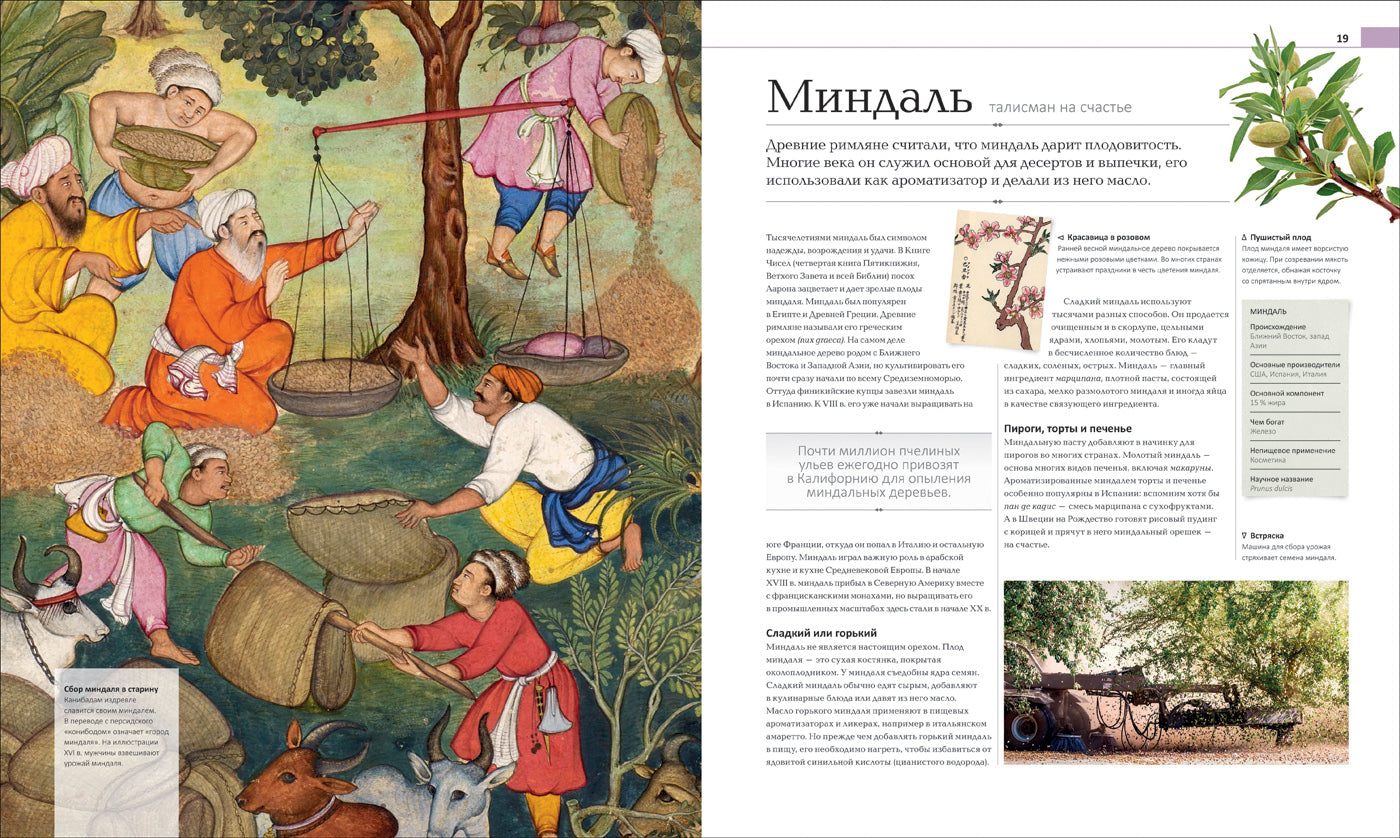 История еды