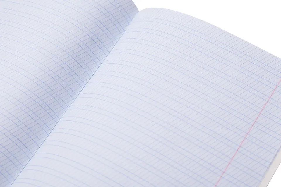Тетрадь в частую косую линейку, 12 листов