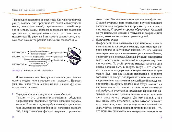 Тазовое дно - наше великое неизвестное. Comment s'occuper de tout ce qui concerne vos affaires