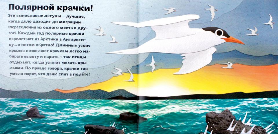 Птицы и букашки:от носа до хвоста. Букашки от носа до хвоста. Les détails de la clé de l'hôtel