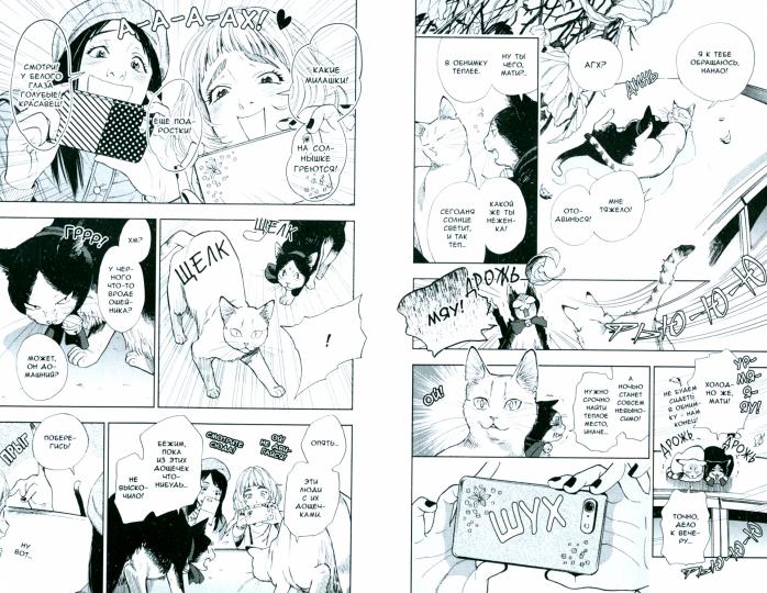 Жизнь бродячего кота, Том 1. (в 3-х томах)