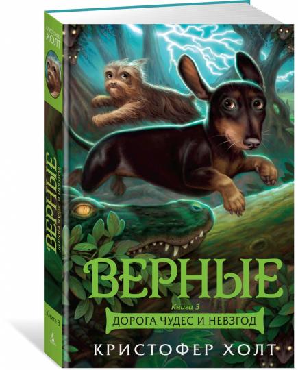 Vernie. Книга 3. Doroga чудес и невзгод