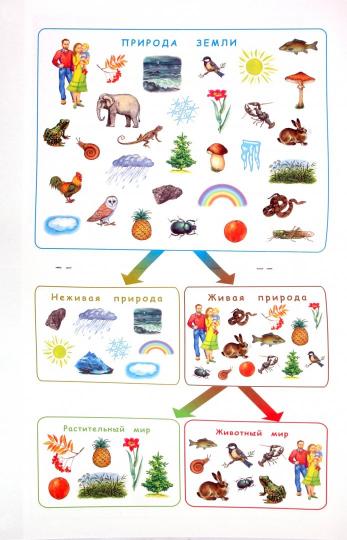 Узнаю мир 6-8лет. Развив. книга на детей