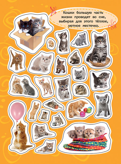 100 autocollants. Котята