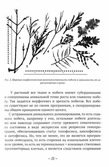 Здоровье, молодость, долголетие. Comment le magnétisme et l'oxyde d'azote contribuent-ils à l'entretien
