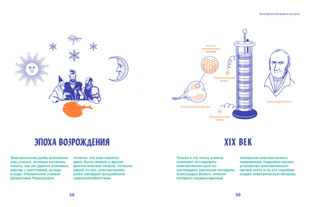 36.АлК.Электрические рыбы (12+)