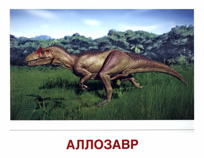 Дем. cartes СУПЕР Динозавры. 16 cartes de démonstration avec texte sur l'objet (à utiliser avec un matériel de démonstration complexe 173x220 mm, познавательное и речевое развитие)