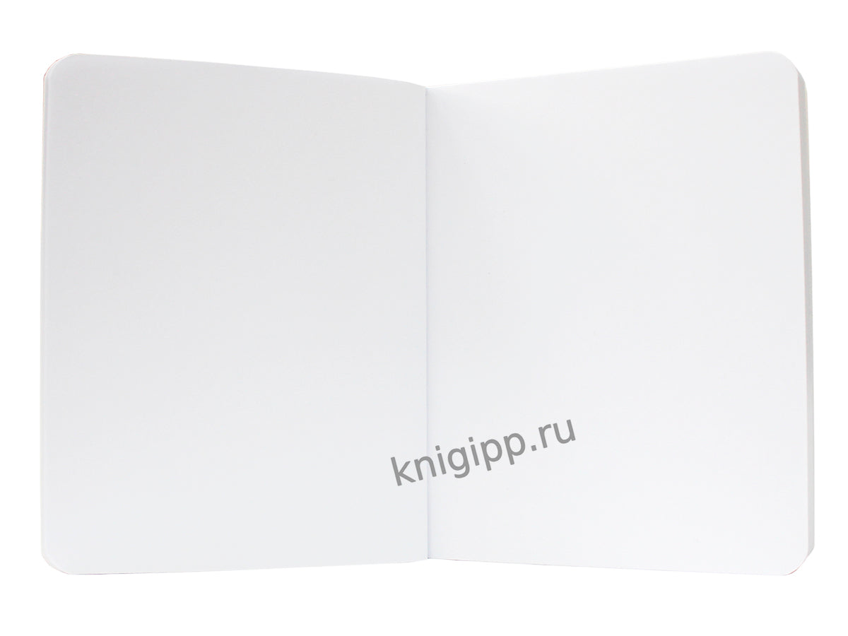 Mon Art. MeowBook СКЕТЧБУК. Meloman style