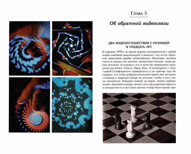 Я — странная петля