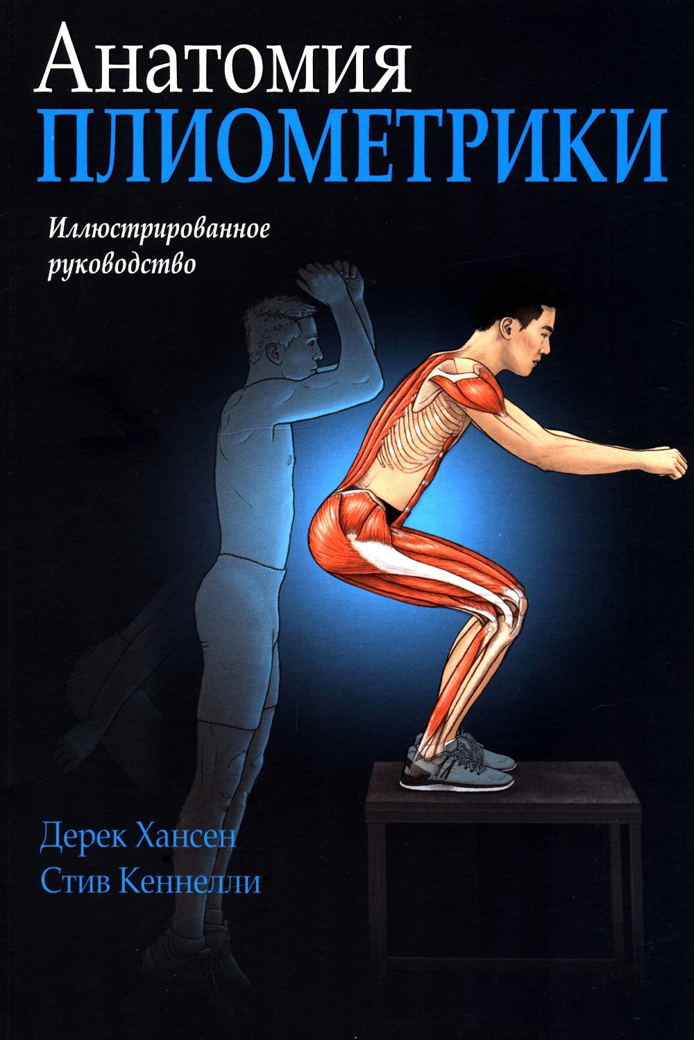 Anatomie pliométrique