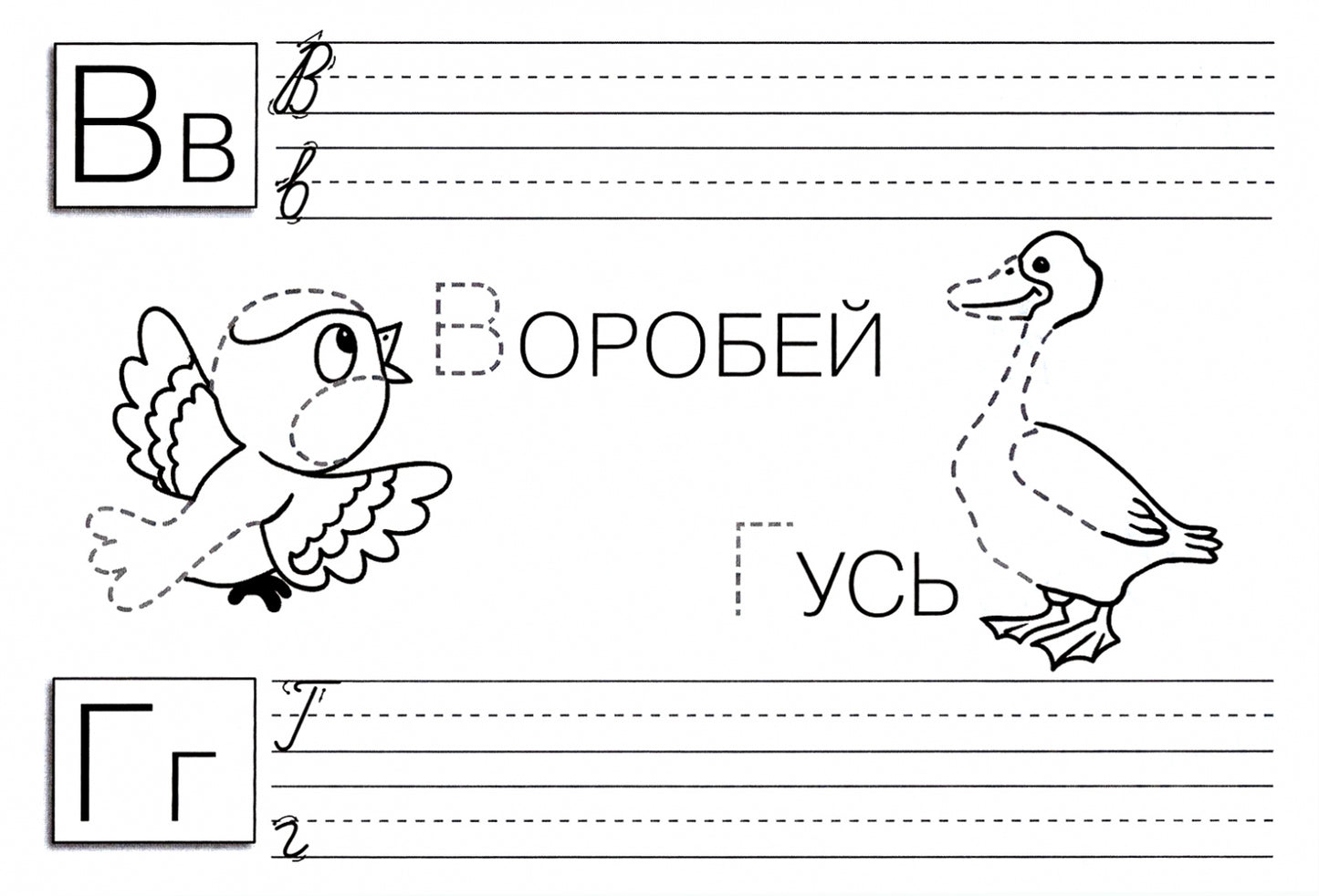 Обведи,допиши,раскрась