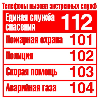 ШН-8858 Наклейки. Haut-parleurs de téléphone (96x95 mm)