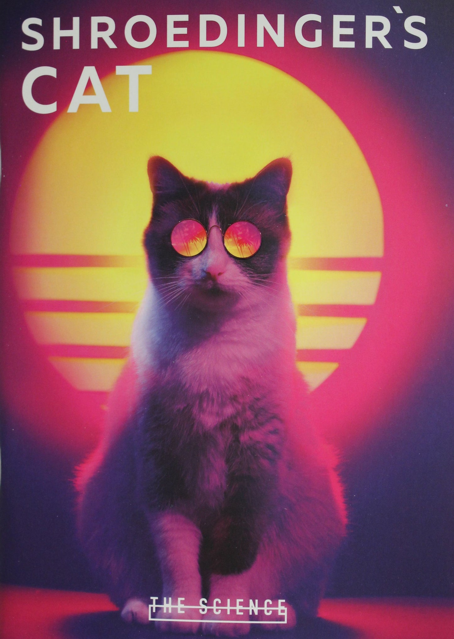 Тетрадь. Shroedinger's Cat, B5, мягкая обложка, 40 л.