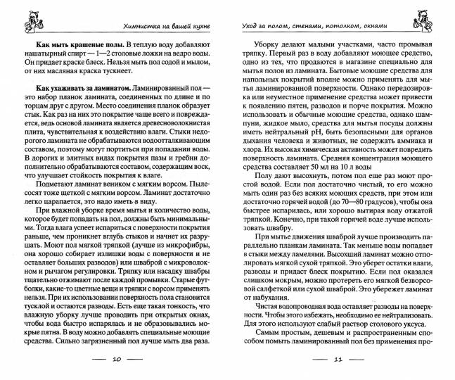 Химчистка на вашей кухне. C'est pour une maison idéale. Ma mère, c'est toi qui s'en occupe