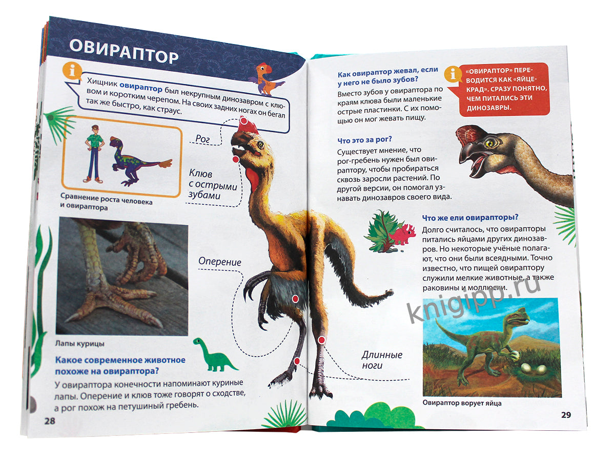 ЭНЦИКЛОПЕДИЯ ДЛЯ МАЛЕНЬКИХ ПОЧЕМУЧЕК. Dinosaures